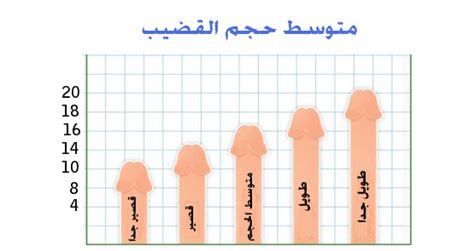 طول القضىب الطبيعي